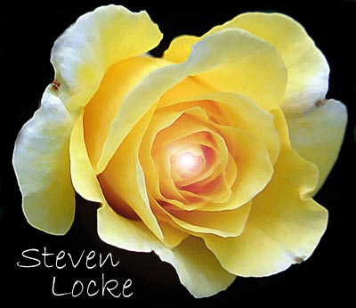Steven Locke